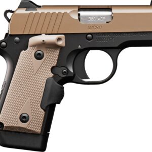 MICRO DT 380ACP 2.75" NS