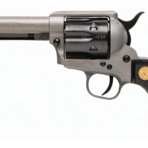 CHIAPPA 1873 REV 22LR TAC GREY