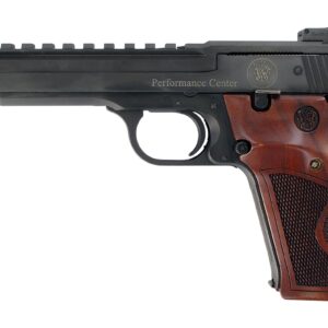 41PC 22LR 10+1 BL/WD 5.5" AS