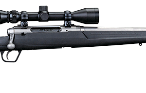 AXIS 22-250 SS/SYN 22" PKG #