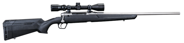 AXIS 22-250 SS/SYN 22" PKG #