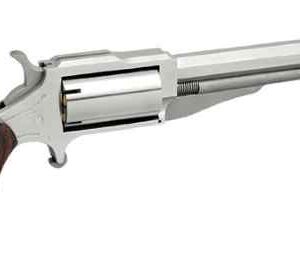 THE EARL 22LR/22MAG 4" SS 5SH